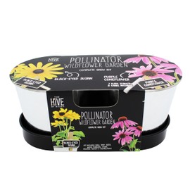 BUZZY Seeds Pollinator Garden Grow Kit with 2 Galvanized Metal Pots, Black-Eyed Susan and Coneflower Seeds, Growing Medium, Plant Markers, Chalk and Easy Instructions, Great Gift for Plant Lovers