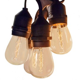 Hometown Evolution, Inc. 24 Foot E26 Commercial Outdoor Edison Bulb String Lights with Suspended Sockets (24 Foot 12 Socket, S14 Zig Zag Edison 11 Watt Bulbs)