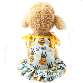 Harikaji Pet Clothes,Lovely Summer Fruit Dog T-Shirt Puppy Clothes Dog Skirt Dress Cats Clothes for Small Dogs Cats Puppy (M-Back Length 30cm, Pineapple Skirt)