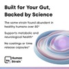 Element Longevity Human Strain Bifidobacterium Adolescentis Probiotic | Fewer Urgent