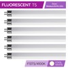 KOR (Pack of 6) F13T5/CW - T5 Fluorescent 4100K Cool