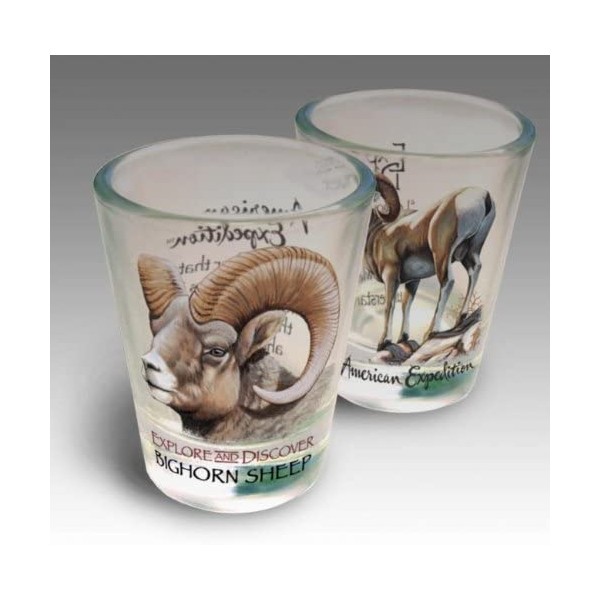 American Expedition 2SHT-146 SET OF - 2 SHOT GLASSES - BIGHORN SHEEP