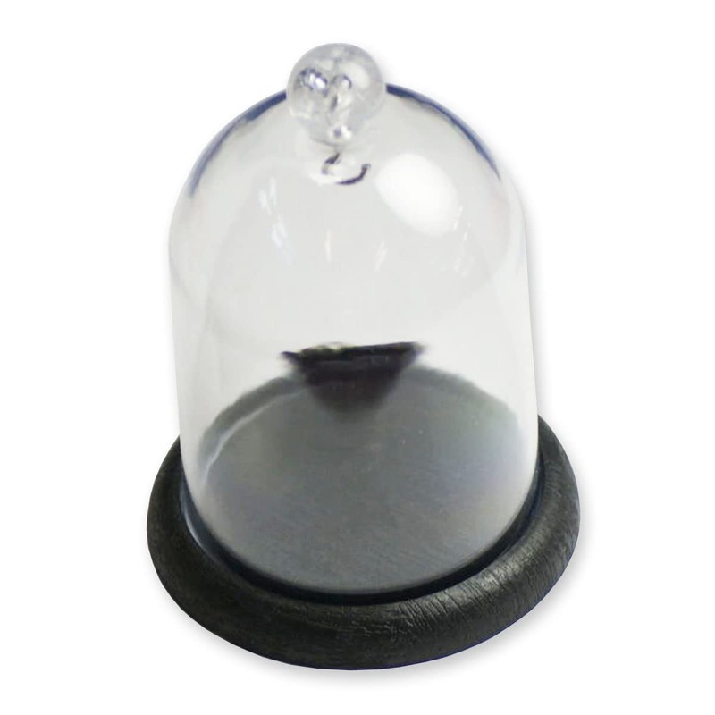 Pocket Watch Display Dome Plastic Stand Holder Hanging Pocketwatch Dust