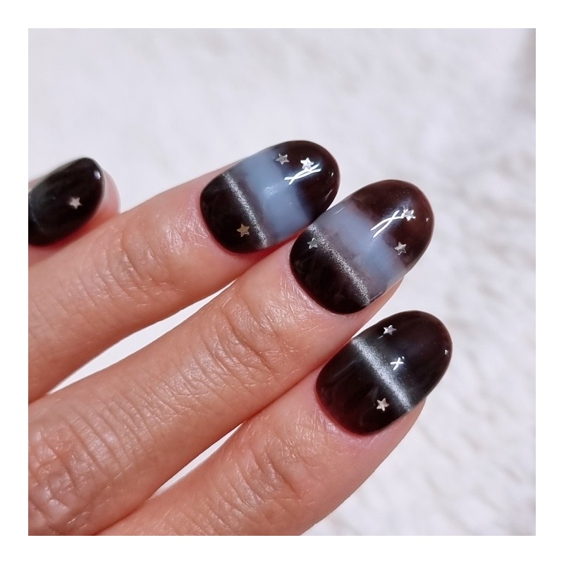 Brown Sky Cat Handmade Nail Tips - Short Square /