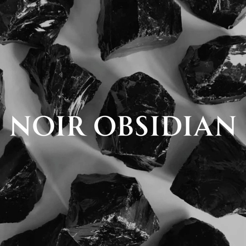 Noir Obsidian Eau de Parfum Spray 100ml (3.4 oz) by