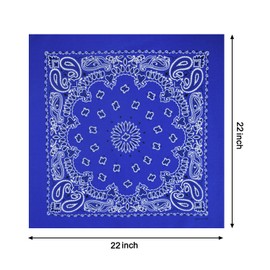 2 Pack Types of Paisley Pattern Bandanas, 22x22 Inches Cotton Bandanas Handkerchief Face Mask for Men & Women (Blue-2 Pack)