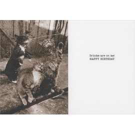 Cat Catching Milk Avanti America Collection Funny Birthday Card