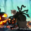 Lumadecor Spider Pet Costume - Cosplay Costumes with Adjustable Velcro