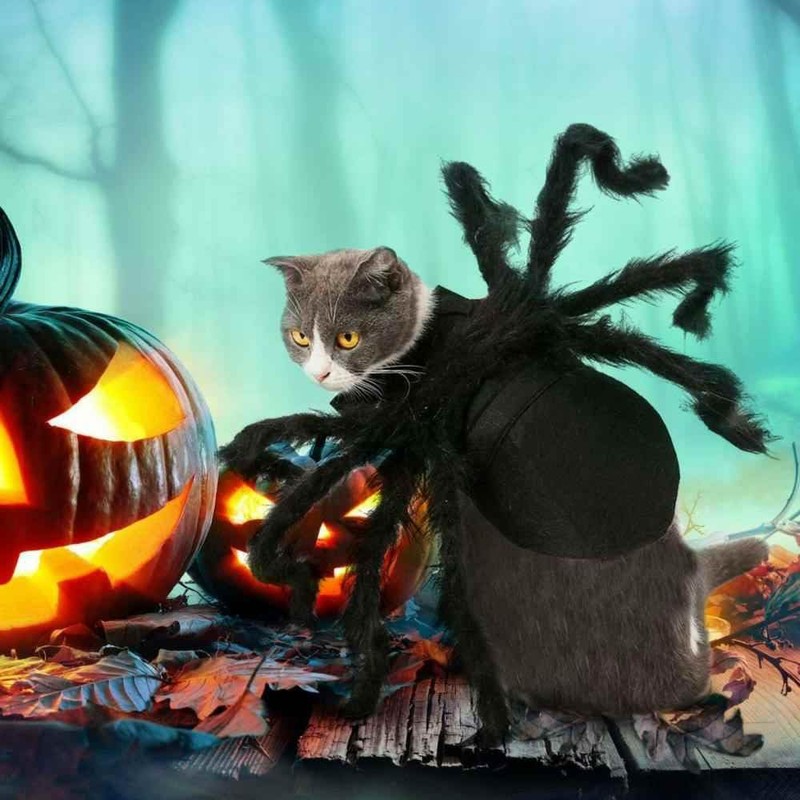 Lumadecor Spider Pet Costume - Cosplay Costumes with Adjustable Velcro