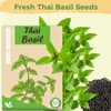 Basil Seed Pods Kit Hydroponic - Refill Herb Pod for