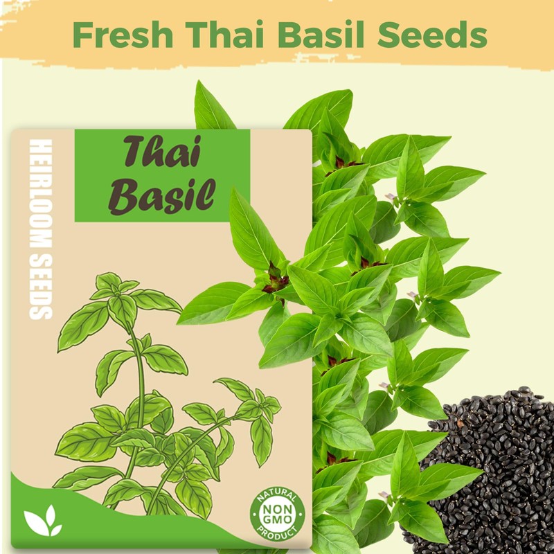 Basil Seed Pods Kit Hydroponic - Refill Herb Pod for