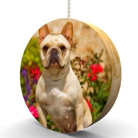 French Bulldog Hardwood Oak Fan/Light Pull