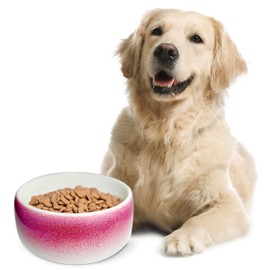 Byer of Maine Pet Bowl – High-Fired Porcelain Stoneware, Food-Grade Safe, Dishwasher Safe, Non-Slip Dog Bowl for Large Breeds in Roll Over Red