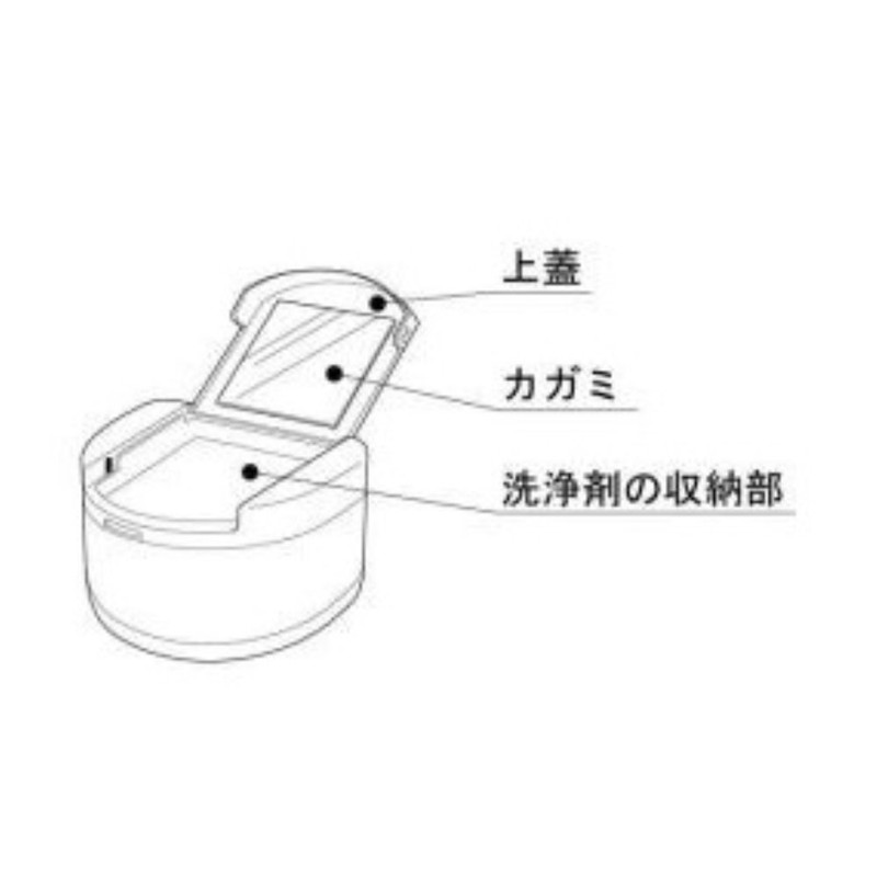 Clear Denture Case with Clear Case