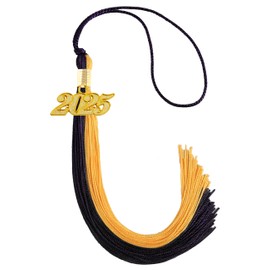 GRADFTY 10 Pieces 2025 Graduation Tassels Bulk, Black and Gold Tassels 2025