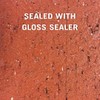 Rain Guard Water Sealers SP-1102 Gloss Sealer Concentrate Makes 1