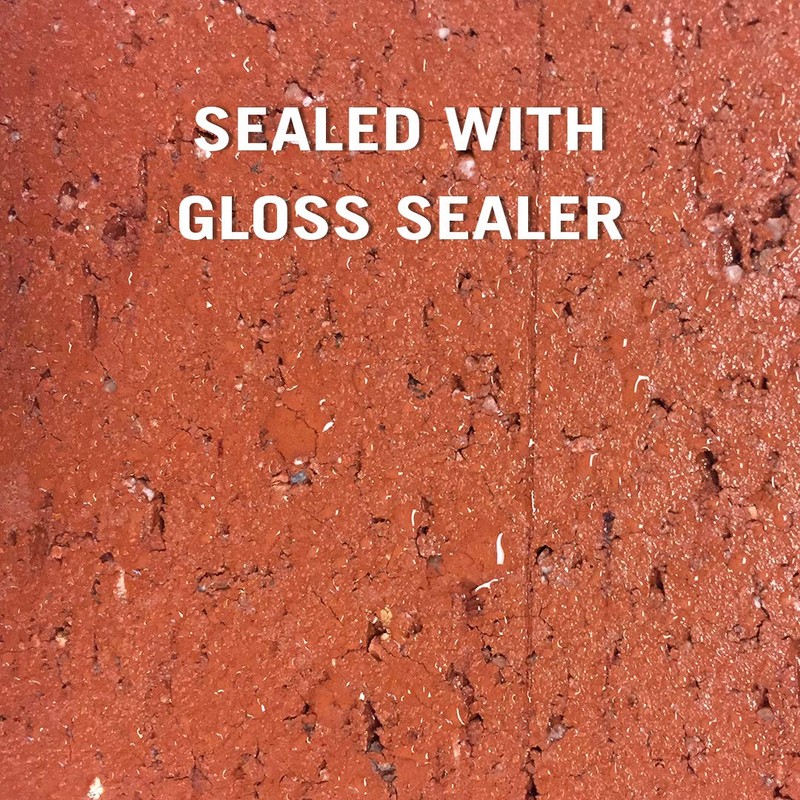 Rain Guard Water Sealers SP-1102 Gloss Sealer Concentrate Makes 1
