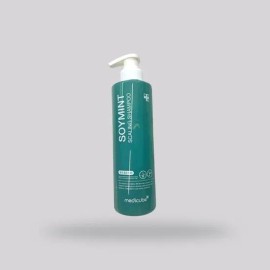 Medicube [Medicube] Medicube Soy Mint Scaling Dandruff Shampoo Citrus 490ml x 2 / [메디큐브] 메디큐브 소이민트 스케일링 비듬샴푸 시트러스 490ml x 2개