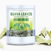 Dried Whole Guava Leaves, Natural Guava Tea, Loose Leaf Tea