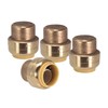PROCURU 4-Pack 3/4-Inch PushFit End Cap, Push-to-Connect Brass Plumbing Fitting