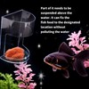 Fish Feeder for Aquarium, Transparent Fish Tank Dish Tray Floating