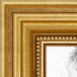 ArtToFrames 10x14 inch Gold Foil on Pine Wood Picture Frame, 2WOM0066-81375-YGLD-10x14