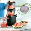 Juice Strainer for Nama J2,Suitable for Nama J2 Cold Press