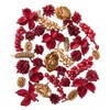 Daichi Noen Dried Flowers Red/Gold Approximately 40-50 pieces Mixed Cones