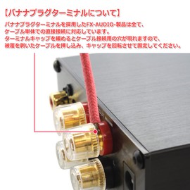 FX-AUDIO - FX-502J [Black] 50W x 2ch Pre-Main Amplifier with TPA3116