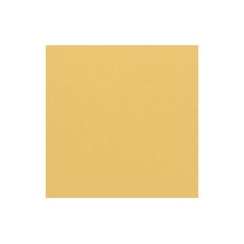 Bazzill Mono CARDSTOCK 12X12 Sunbeam, Yellow