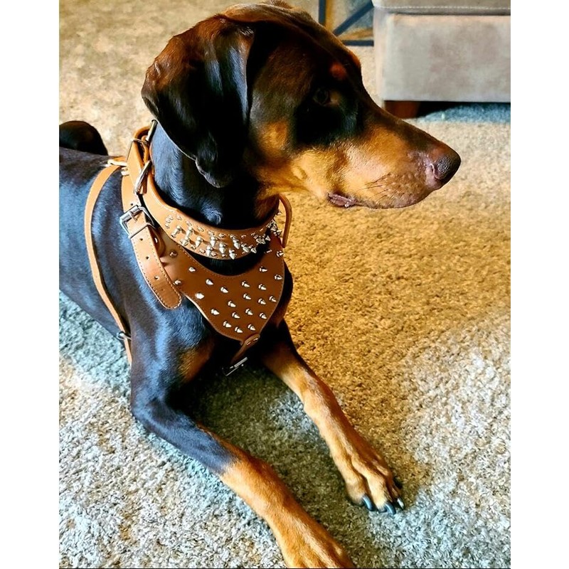 Pimaodog Leather Spiked Studded Harnesses, Collars & Leashes 3Pcs Matching