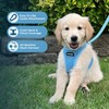 Best Pet Supplies - All Weather Mesh, Reflective, No Pull