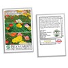 Ballerina California Poppy Mix - California Poppies, 1000+ Flower Seeds