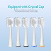 Replacement Brush Heads for Waterpick Sonic Fusion 2.0 Flossing Toothbrush