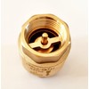 H2O-Flex® DN15 Check Valve 1/2 Inch Completely Made of Brass,