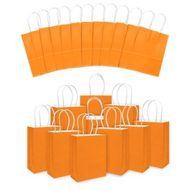 qiqee 30PCS Medium Gift Bag with Handles Bulk 11"x5"x8" Gift Bags Salmon Bags Multiple Uses (Medium Size)