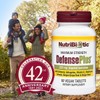 NutriBiotic 90 Count Herbal Immune Support Supplement with Vitamin C