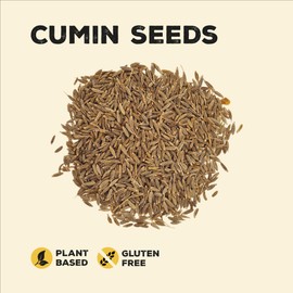 Nature Kitchen Cumin Seed White 50G Pot Of Seasoning Spices And Herbs. Gluten-Free and Vegan, Everyday Cooking Blends For Marinades, Sauces, Frying, Baking Or Grilling