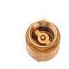 Brass One Way Valve 1/2 inch Backflow Preventer Female NPT