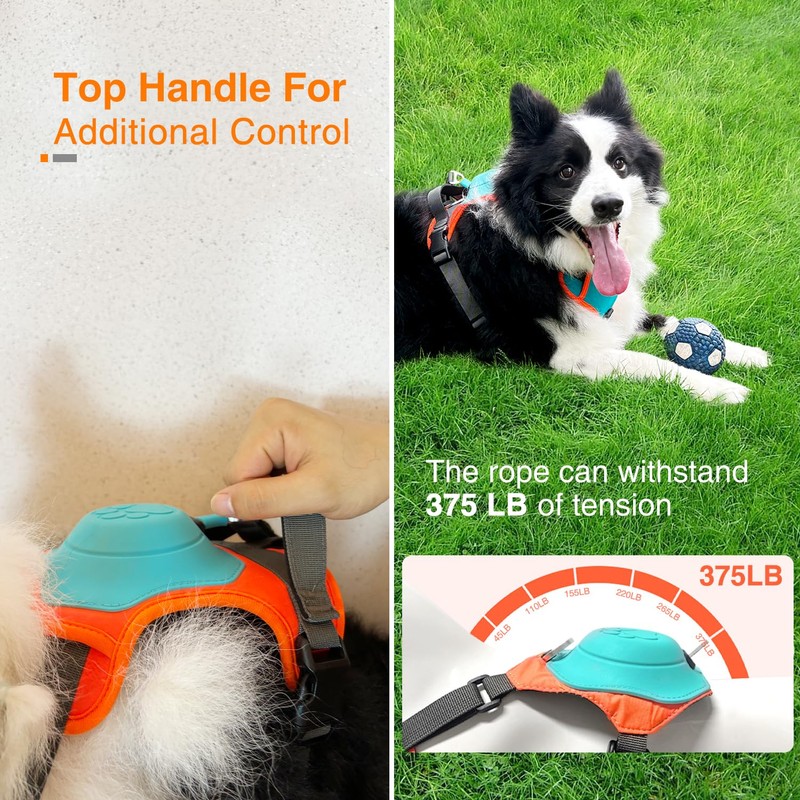 Dog Harness with Retractable Leash 51.2”,2-in-1 Large & Medium Dog