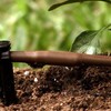 Mister Landscaper 100-ft Coil 1/4-in In-Line Drip Tubing