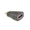 kenable HDMI Female Socket to Mini Type C Male Plug