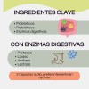 Pro Gut Blen Cápsulas Probioticos Prebioticos Digestivo 60pz Sin Sabor