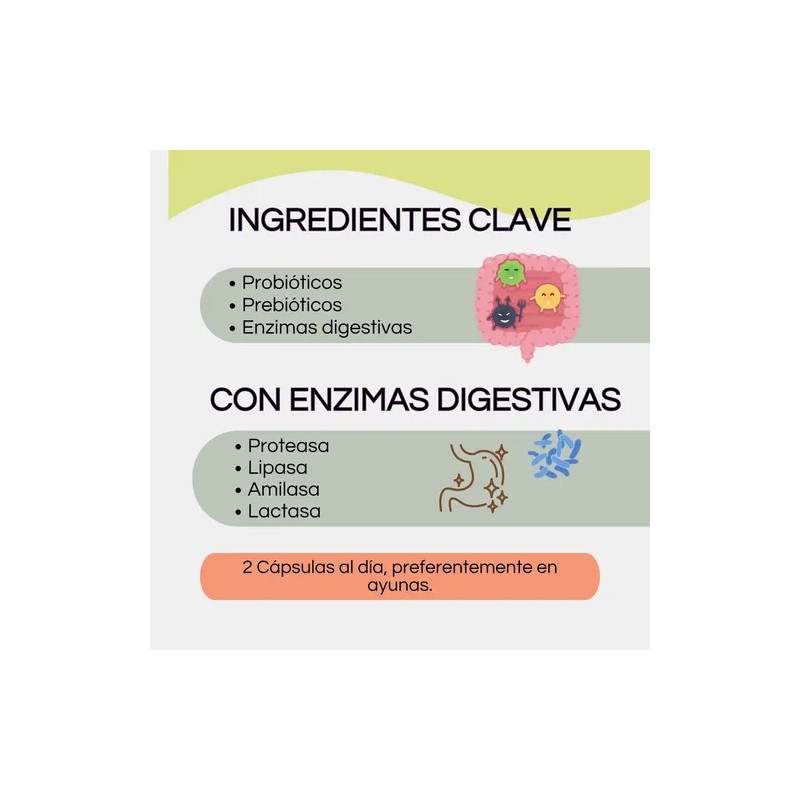 Pro Gut Blen Cápsulas Probioticos Prebioticos Digestivo 60pz Sin Sabor