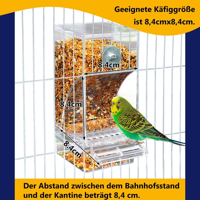 Automatic Feeder Birds and Water Dispenser Transparent Acrylic Bird Feeder