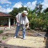 2LB Subtle Earth Organic Decaf - Swiss Water Process Decaf