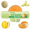 Blistex Fruit Smoothies Lip Balm, 8.5gm