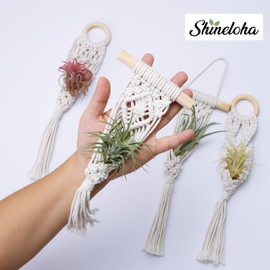 Shineloha 4 Pack Air Plants Holders, Wall Planters for Indoor Plants | Macrame Plant Hanger, Air Plant Hanger for Air Fern, Tillandsias, Live Houseplants & Succulent (NO Plant Included)