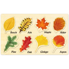 MoinKidz Wooden Jigsaw Puzzles, Jumbo Wooden Leaf Puzzle Fall Puzzles for Kids Ages 3-5, Montessori Preschool Puzzles for Toddlers, Educational Learning STEM Toys