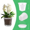 AONYIYI Transparent Orchid Pots, Pack of 10 10.16 cm Orchid